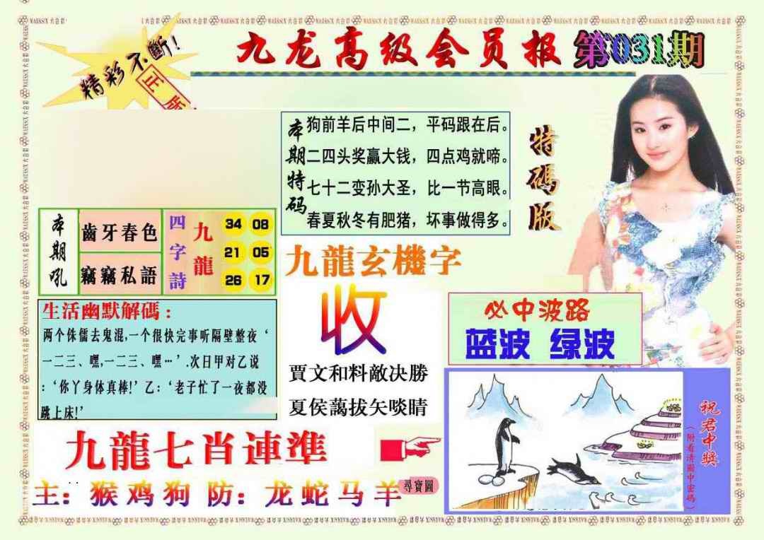 031期九龙高级会员报[图]